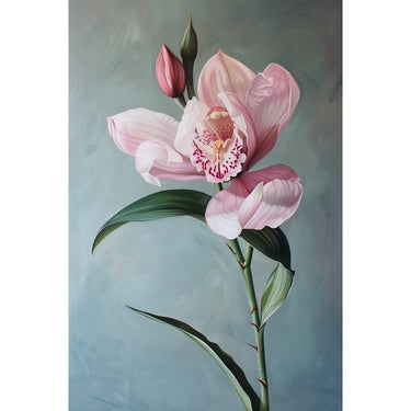 Pink Orchid Canvas